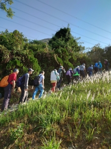 Thumbnail of pic_SK_Kwan_001.JPG