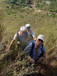 Thumbnail of pic_SK_Kwan_025.JPG