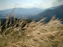 Thumbnail of pic_SK_Kwan_032.JPG