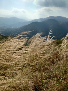 Thumbnail of pic_SK_Kwan_033.JPG