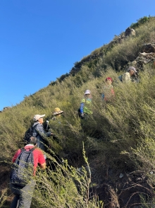 Thumbnail of pic_TB_Tung_004.JPG