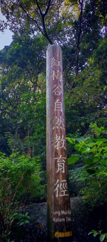 Thumbnail of pic_Cindy_Tse_004.jpg