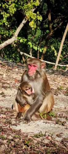 Thumbnail of pic_Cindy_Tse_011.jpg