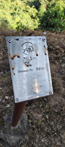 Thumbnail of pic_Derek_Wong_017.jpg