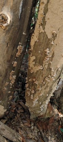 Thumbnail of pic_Derek_Wong_043.jpg