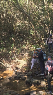 Thumbnail of pic_KW_Li_012.jpg