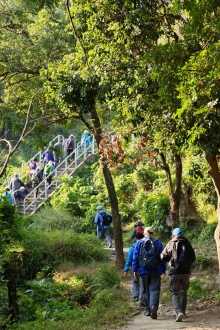 Thumbnail of pic_KW_Sin_002.jpg