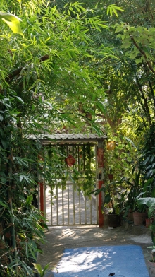 Thumbnail of pic_KW_Sin_003.jpg