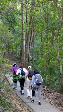 Thumbnail of pic_KW_Sin_009.jpg