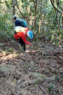 Thumbnail of pic_KW_Sin_022.jpg