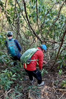 Thumbnail of pic_KW_Sin_023.jpg