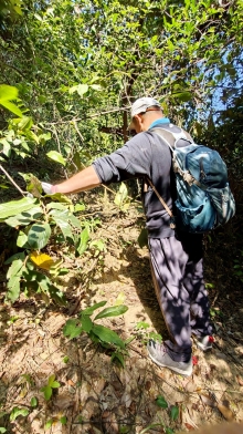 Thumbnail of pic_KW_Sin_029.jpg