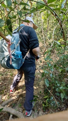 Thumbnail of pic_KW_Sin_030.jpg