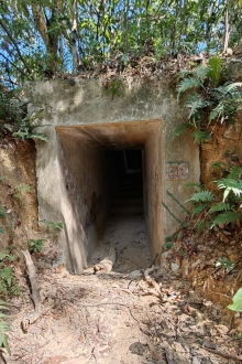 Thumbnail of pic_KW_Sin_035.jpg