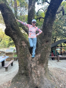 Thumbnail of pic_TB_Tung_005.JPG