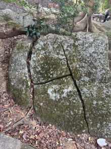 Thumbnail of pic_TB_Tung_008.JPG