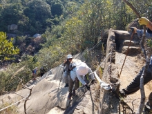 Thumbnail of P1110014.jpg