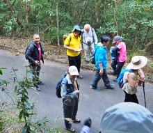 Thumbnail of pic_Lee_Shing_004.JPG