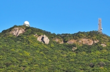 Thumbnail of pic_Lee_Shing_009.JPG