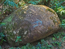 Thumbnail of pic_Lee_Shing_018.JPG