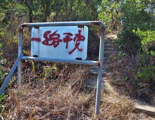 Thumbnail of pic_Lee_Shing_020.JPG