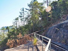 Thumbnail of pic_Lee_Shing_023.JPG