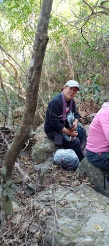 Thumbnail of pic_Mingle_Tam_003.jpg