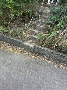 Thumbnail of pic_TB_Tung_011.JPG