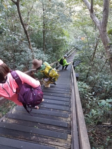 Thumbnail of P1180044.jpg