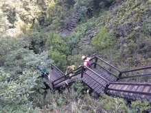 Thumbnail of P1180045.jpg