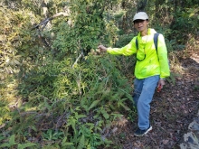 Thumbnail of P1180046.jpg