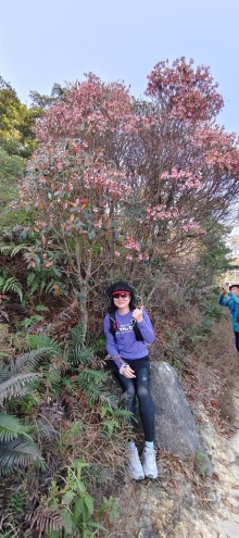 Thumbnail of pic_Derek_Wong_019.jpg