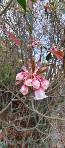 Thumbnail of pic_Derek_Wong_020.jpg