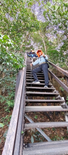 Thumbnail of pic_Derek_Wong_041.jpg