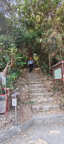 Thumbnail of pic_Derek_Wong_048.jpg