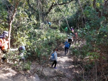 Thumbnail of P1250002.jpg