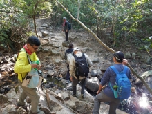 Thumbnail of P1250003.jpg