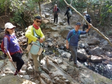 Thumbnail of P1250005.jpg