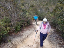 Thumbnail of P1250015.jpg