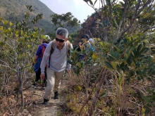 Thumbnail of P1250016.jpg