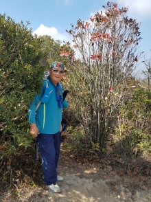 Thumbnail of P1250026.jpg