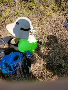 Thumbnail of P1250028.jpg