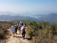 Thumbnail of P1250031.jpg