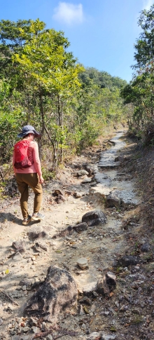 Thumbnail of pic_Si9_010.jpg