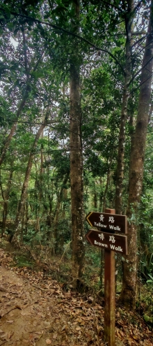 Thumbnail of pic_Cindy_Tse_019.jpg