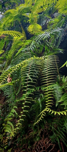 Thumbnail of pic_Cindy_Tse_026.jpg