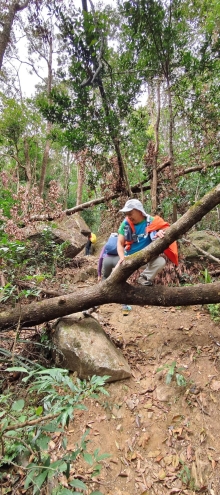 Thumbnail of pic_Derek_Wong_006.jpg