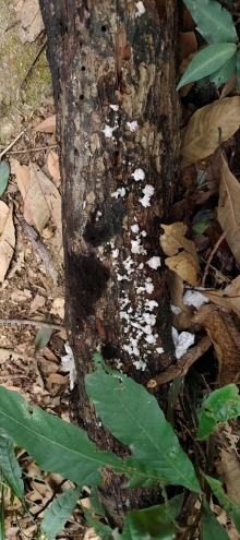 Thumbnail of pic_Derek_Wong_050.jpg