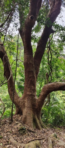 Thumbnail of pic_Derek_Wong_056.jpg