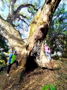 Thumbnail of pic_Anissa_Yip_002.jpg